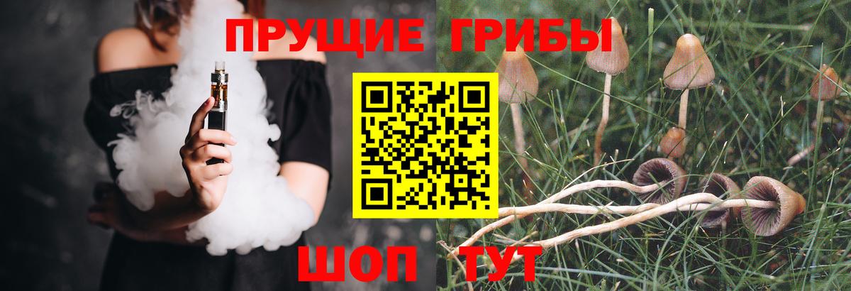 Кострома  Галлюциногенные грибы Psilocybe  Псилоцибиновые грибы Psilocybine cubensis  Вход с VPN 